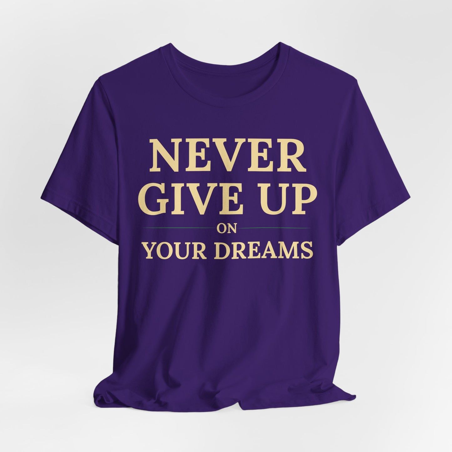 Never Give Up on Your Dreams Inspirational Motivation T-Shirt