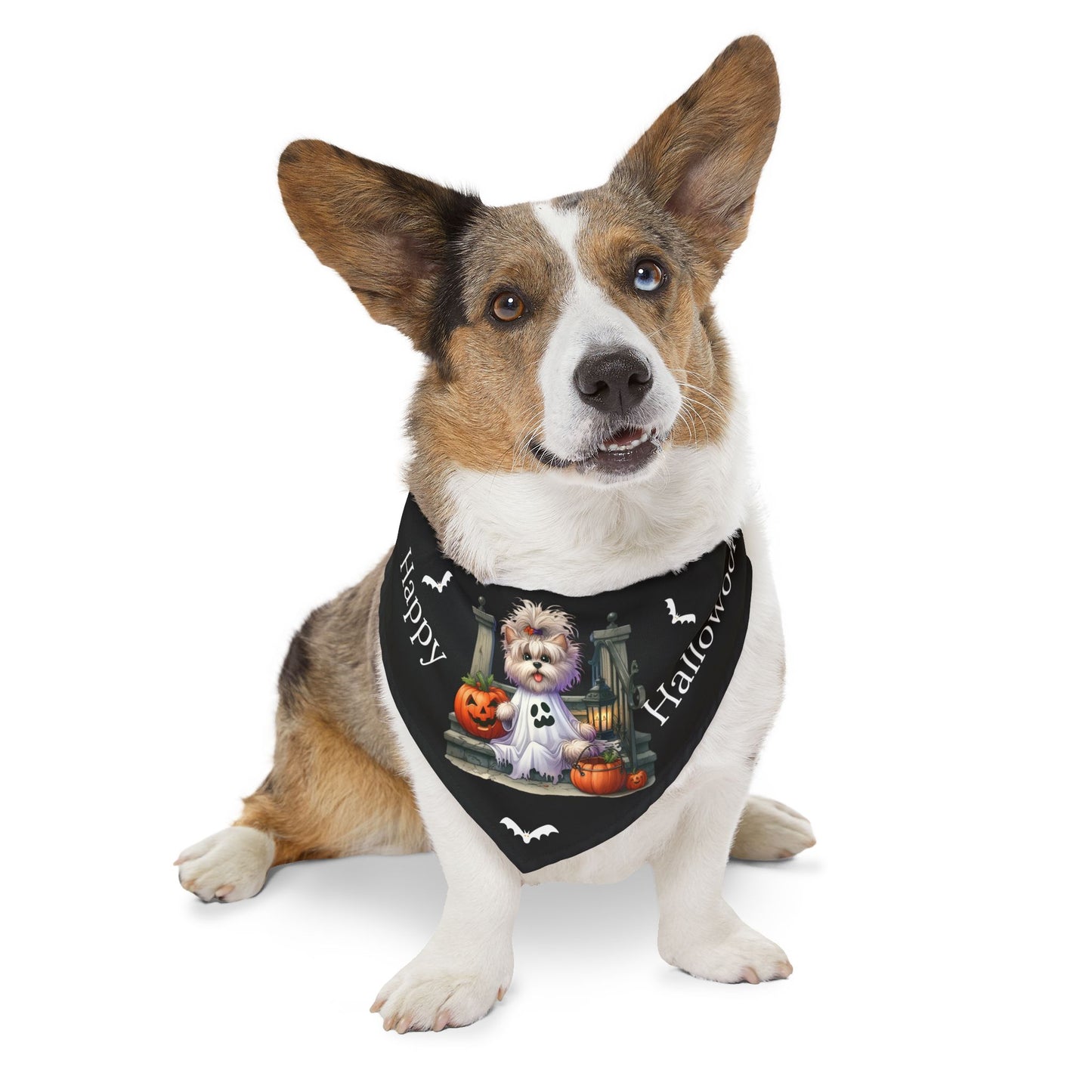 Happy "Hallowoof" - EXTRA LARGE Pet Bandana Collar BLACK 08