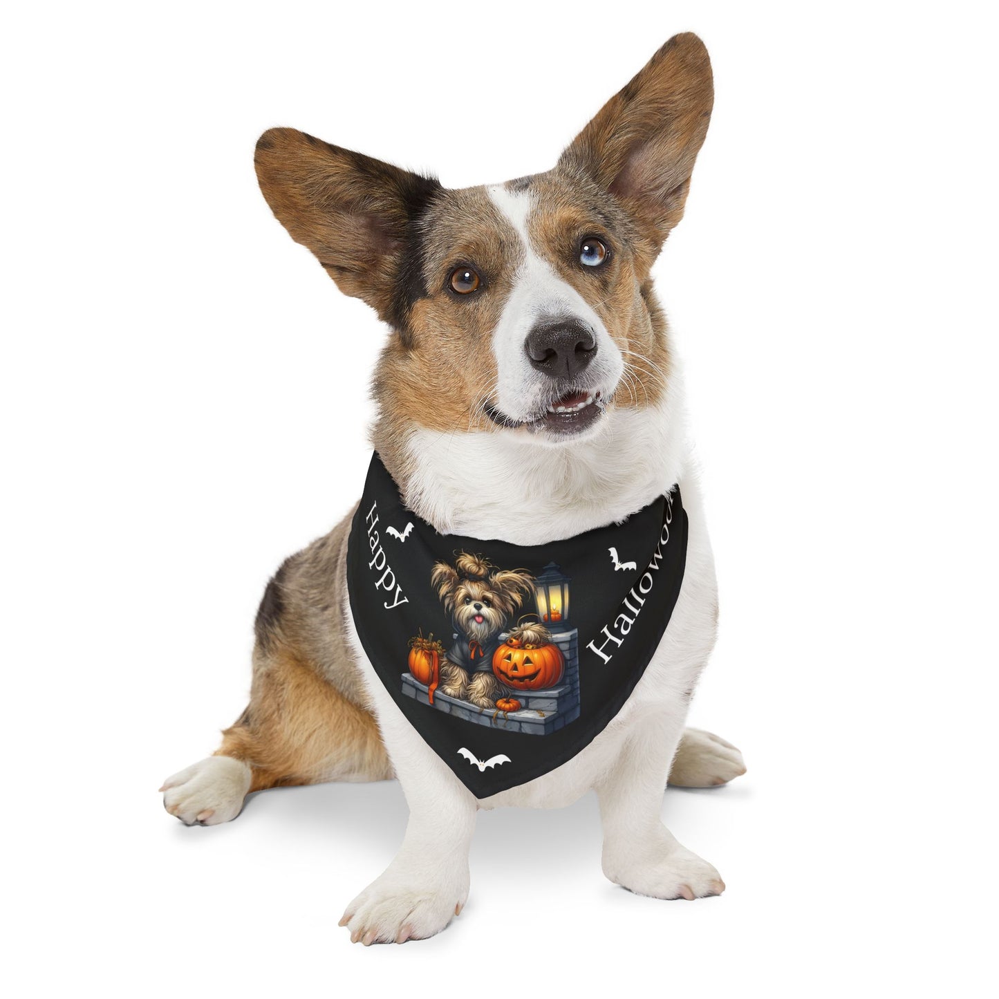 Happy "Hallowoof" - EXTRA LARGE Pet Bandana Collar BLACK 09