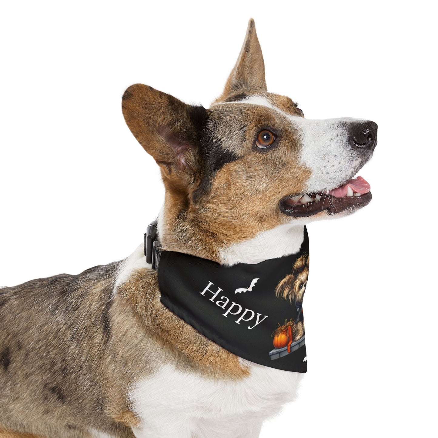 Happy "Hallowoof" - EXTRA LARGE Pet Bandana Collar BLACK 09