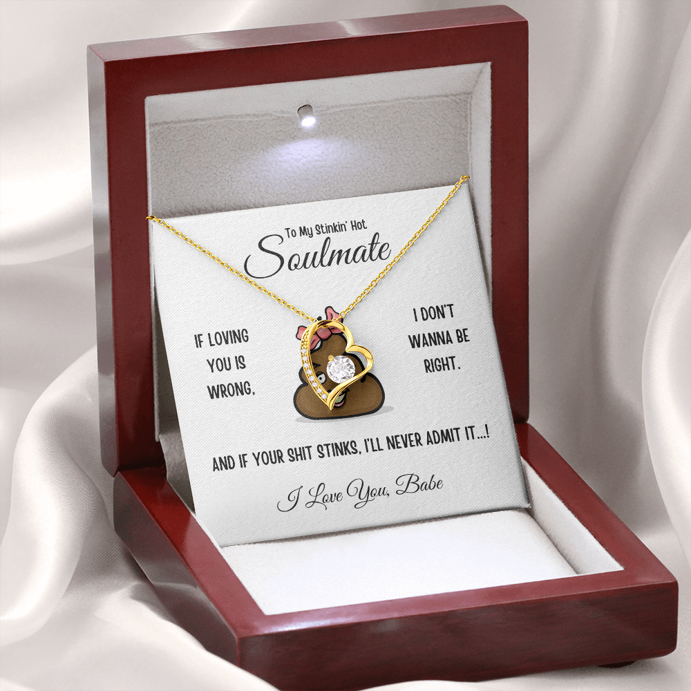 To My Stinkin’ Hot Soulmate – Forever Love Heart Necklace in Luxury or Two-Toned Gift Box