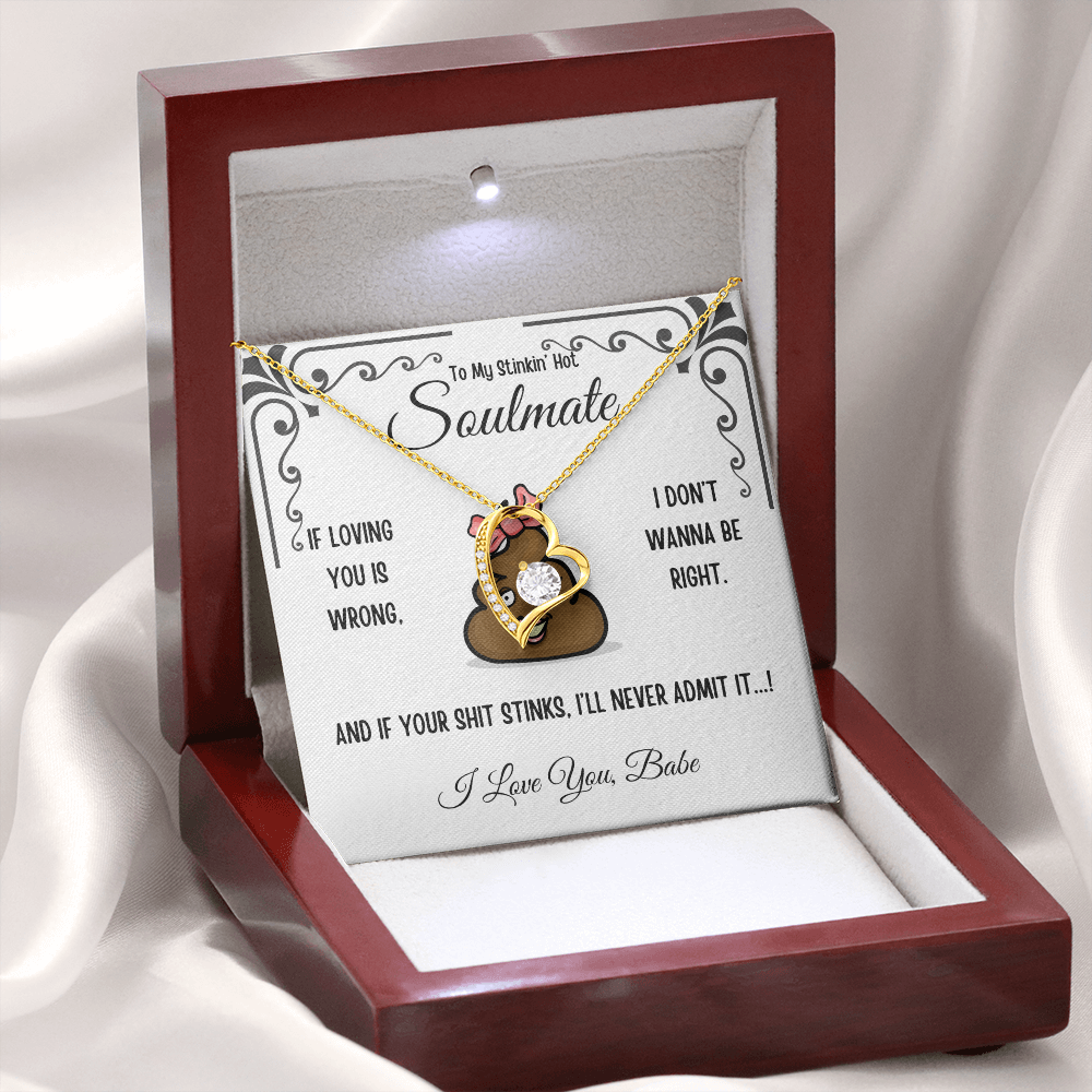 To My Stinkin' Hot Soulmate Gift – Forever Love Heart Necklace in Luxury or Two-Toned Box