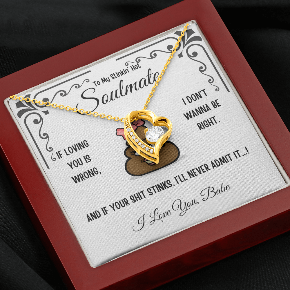 To My Stinkin' Hot Soulmate Gift – Forever Love Heart Necklace in Luxury or Two-Toned Box