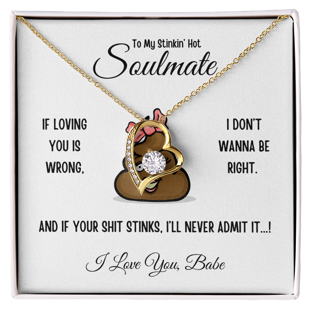 To My Stinkin’ Hot Soulmate – Forever Love Heart Necklace in Luxury or Two-Toned Gift Box