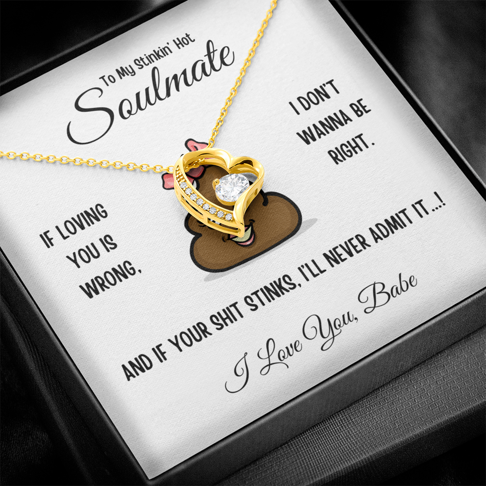 To My Stinkin’ Hot Soulmate – Forever Love Heart Necklace in Luxury or Two-Toned Gift Box