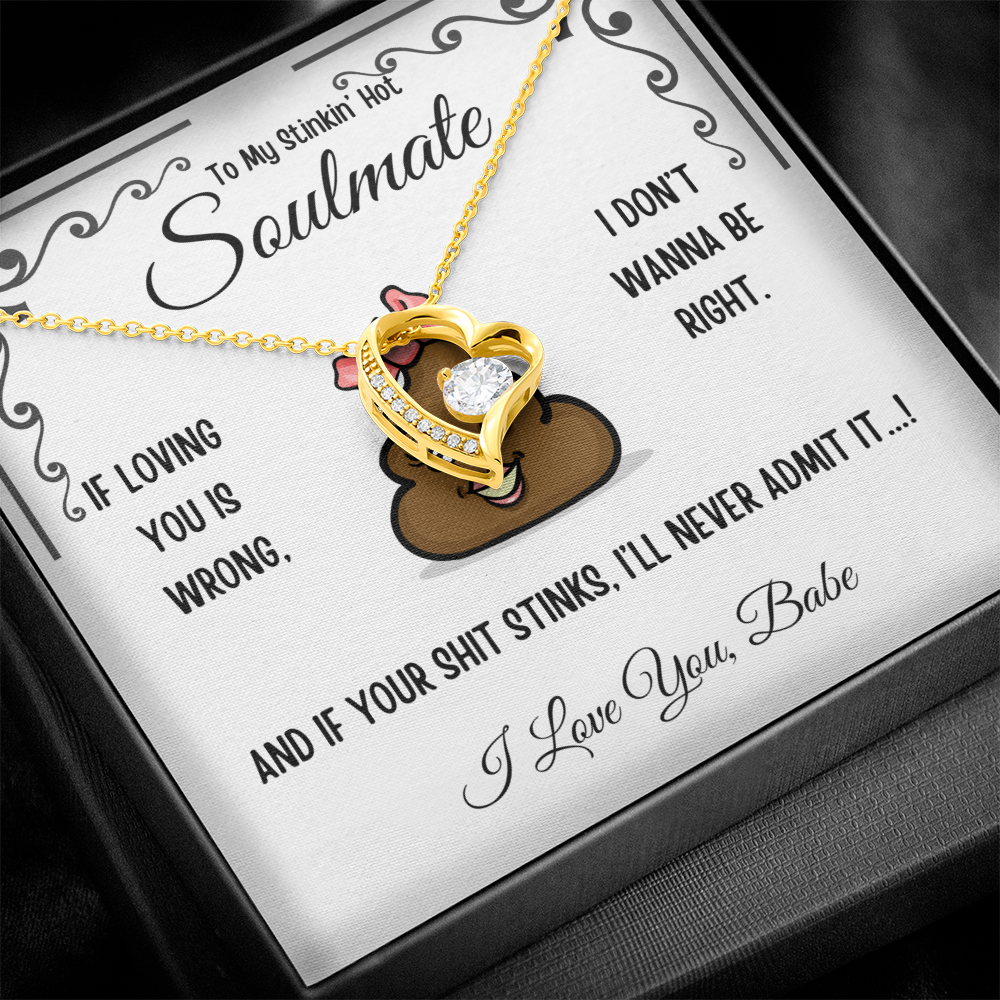 To My Stinkin' Hot Soulmate Gift – Forever Love Heart Necklace in Luxury or Two-Toned Box