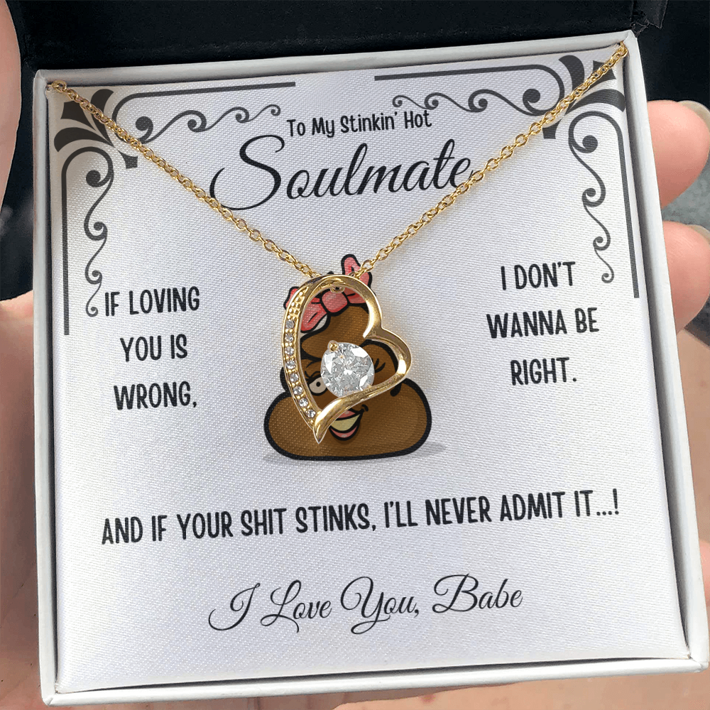 To My Stinkin' Hot Soulmate Gift – Forever Love Heart Necklace in Luxury or Two-Toned Box