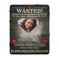 Personalized “WANTED” Love Soft Velveteen or Sherpa Blanket – Custom Photo, Name & Why Reward Poster